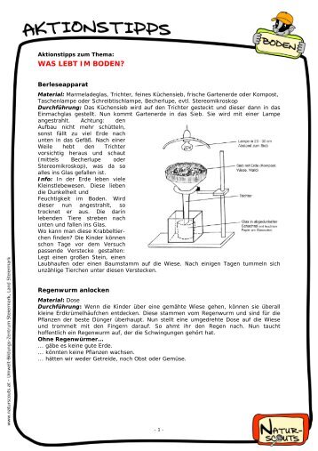 Aktionstipp zum thema was lebt im boden - Naturscouts