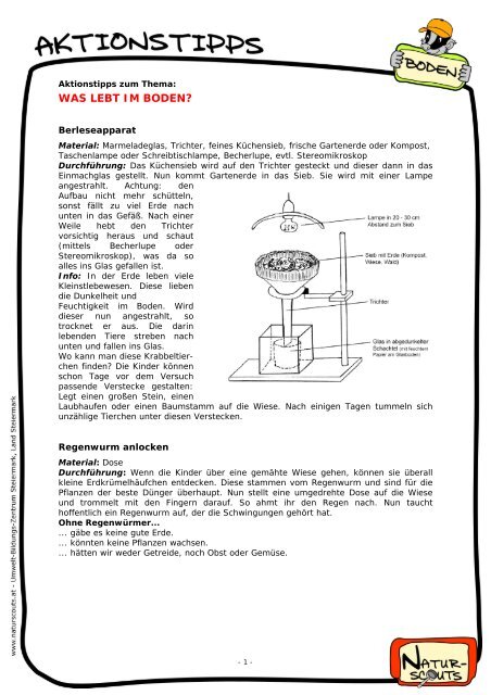Aktionstipp zum thema was lebt im boden - Naturscouts
