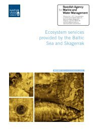 Ecosystem services provided by the Baltic Sea ... - Naturvårdsverket