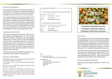 Citrus greening - Department of Agriculture, Forestry and Fisheries