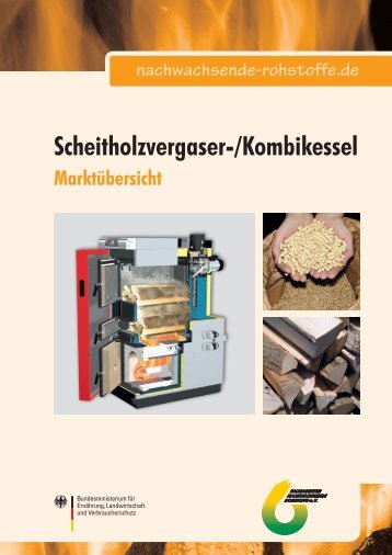 Scheitholzvergaser-/Kombikessel