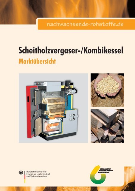 Scheitholzvergaser-/Kombikessel