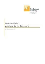 Anleitung für das Datenportal - NetConnect Germany