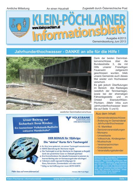 Ausgabe 04/2013 herunterladen - NetTeam Internet