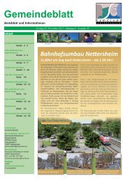 Gemeindeblatt 24-2013.indd - Nettersheim