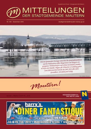 Stadtzeitung herunterladen - NetTeam Internet-Lösungen