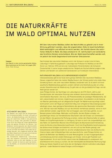 DIE NATURKRÄFTE IM WALD OPTIMAL NUTZEN - Nextroom