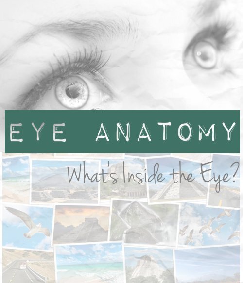Eye Anatomy: What's Inside the Eye?