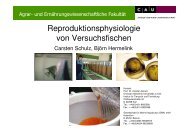 Reproduktionsphysiologie von Versuchsfischen - GV-SOLAS