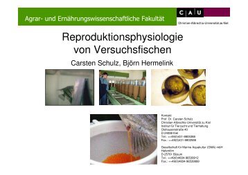 Reproduktionsphysiologie von Versuchsfischen - GV-SOLAS