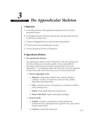 The Appendicular Skeleton