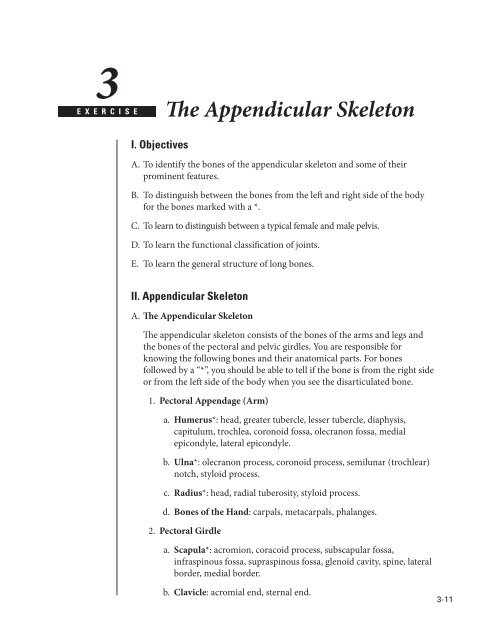 The Appendicular Skeleton