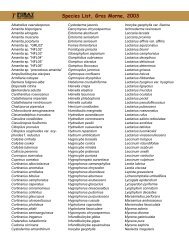 Species List, Gros Morne, 2003