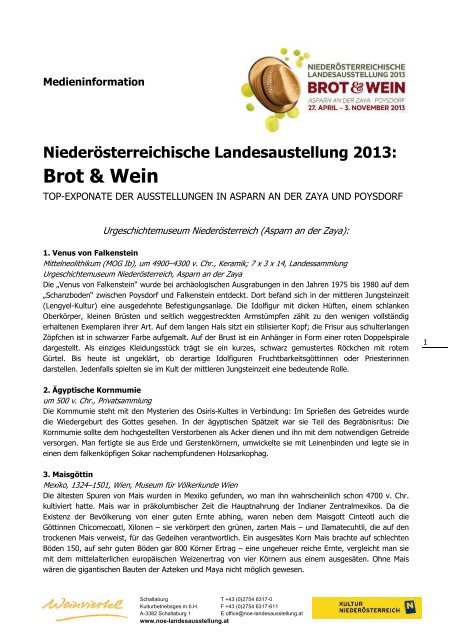 Medieninformation Top Exonate (pdf) - Niederösterreichische ...