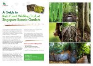 A guide to rain forest walking trail at singapore botanic gardens