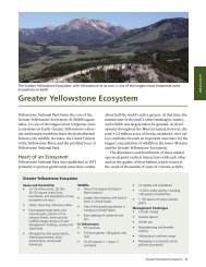 ECOSYST EM Greater Yellowstone Ecosystem - National Park Service