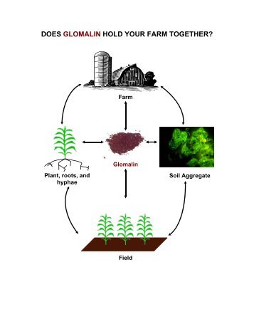 Does Glomalin Hold Your Farm Together?