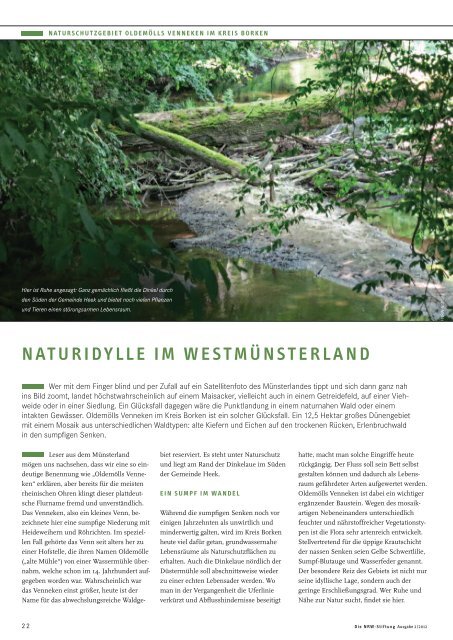 Die NRW-Stiftung