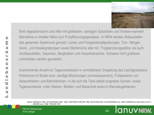 Die Kreuzkröte – Biologie / Ökologie / Lokalpopulation ...