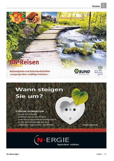 Der Mauersegler - Bund Naturschutz NÃ¼rnberg - Bund Naturschutz ...
