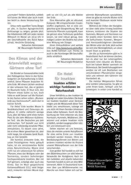 Der Mauersegler - Bund Naturschutz NÃ¼rnberg - Bund Naturschutz ...