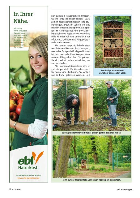 Der Mauersegler - Bund Naturschutz NÃ¼rnberg - Bund Naturschutz ...