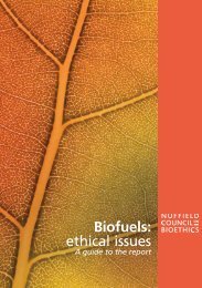 Biofuels: ethical issues - Nuffield Council on Bioethics