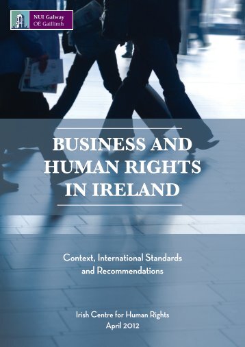 BUSINESS AND HUMAN RIGHTS IN IRELAND - National University ...