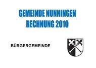 Rechnung 2010 Bürgergemeinde - Nunningen