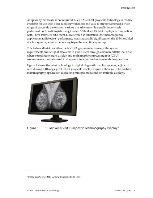 10 AND 12-BIT GRAYSCALE TECHNOLOGY - Nvidia