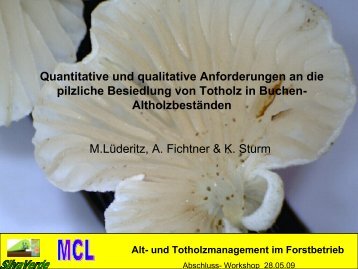 Quantitative und qualitative Anforderungen an die pilzliche ...