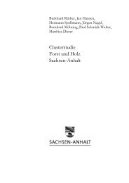 Clusterstudie Forst und Holz Sachsen-Anhalt - Nordwestdeutsche ...