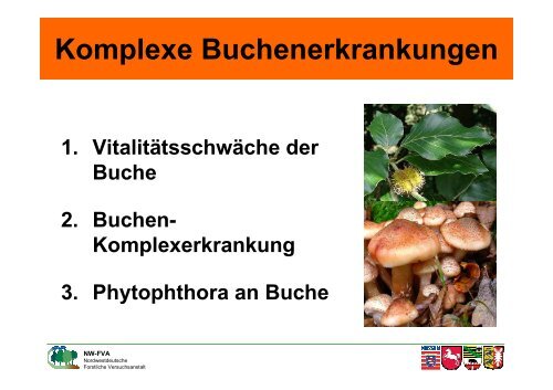 Buchenkomplexerkrankung - Nordwestdeutsche Forstliche ...
