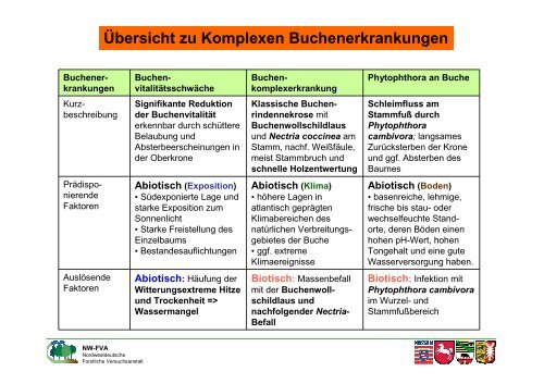 Buchenkomplexerkrankung - Nordwestdeutsche Forstliche ...