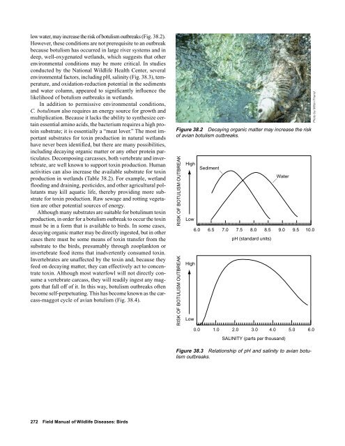 Chapter 38 Avian Botulism - National Wildlife Health Center