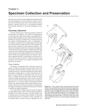 Chapter 2 Specimen Collection and Preservation - National Wildlife ...