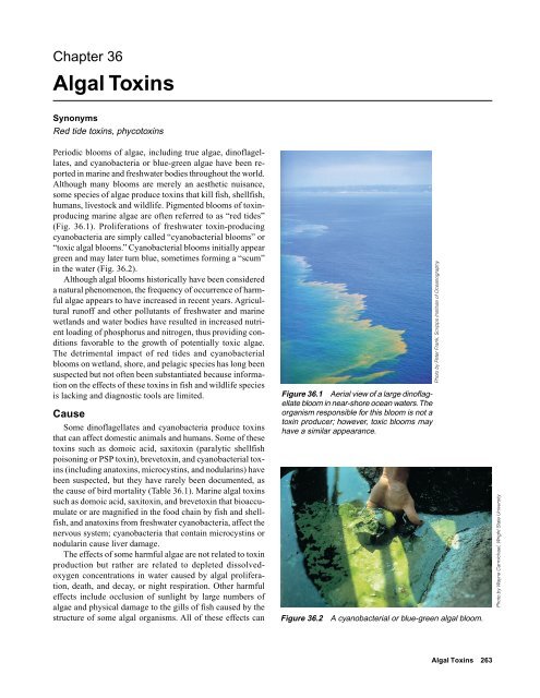 Algal Toxins