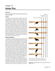 Chapter 19 Avian Pox - National Wildlife Health Center