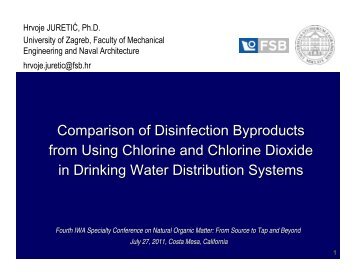 Chlorine dioxide decay and ClO 2