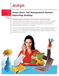 Avaya Basic Call Management System Reporting Desktop