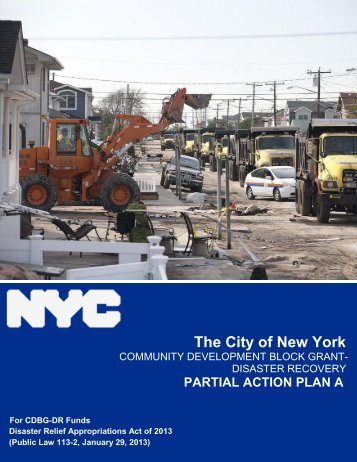 Partial Action Plan - NYC.gov