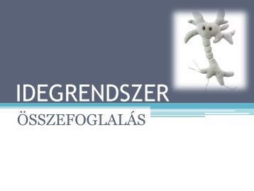 Idegrendszer