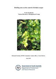 Briefing note on the control of Bridal Creeper - Northern and Yorke ...