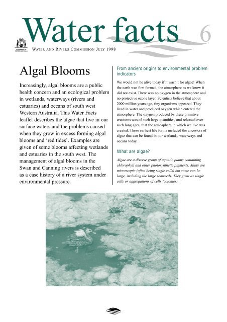 Algal Bloom Fact sheet - Department of Water - The Western ...