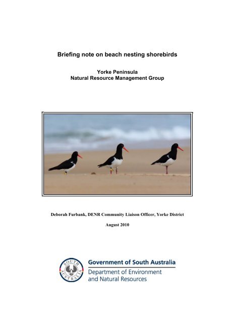 Briefing note on beach nesting shorebirds - Northern and Yorke ...