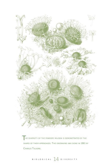 Download Biological Diversity - New York State Museum