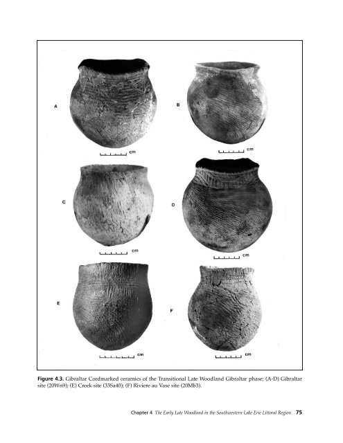 Northeast Subsistence-Settlement Change: A.D. 700 –1300