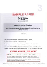 91598 Sample Merit Exemplar - NZQA