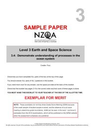 91413 Sample Merit Exemplar - NZQA