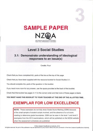 91596 Sample Excellence Exemplar - NZQA